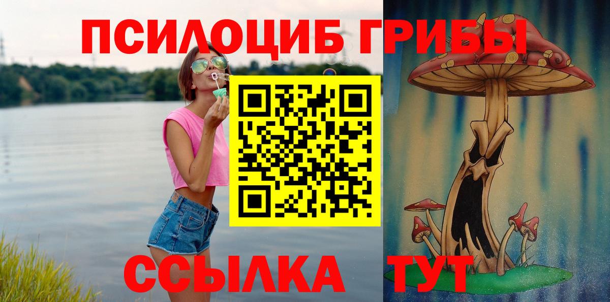 Петрозаводск  Галлюциногенные грибы мицелий  Вход с VPN 
