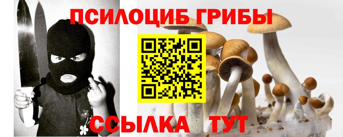 Галлюциногенные грибы ЛСД Петрозаводск